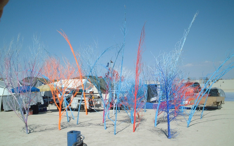 DSCF0017B