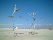 DSCF0040