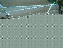 DSCF0065