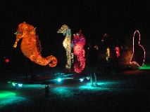 DSCF0094