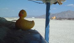 DSCF0025B